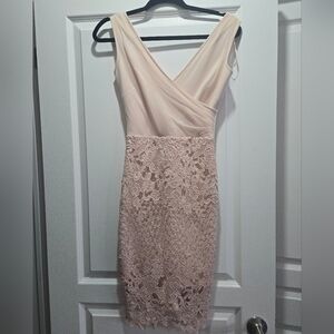 Women's Blush Lace Bodycon Dress - V-Neck